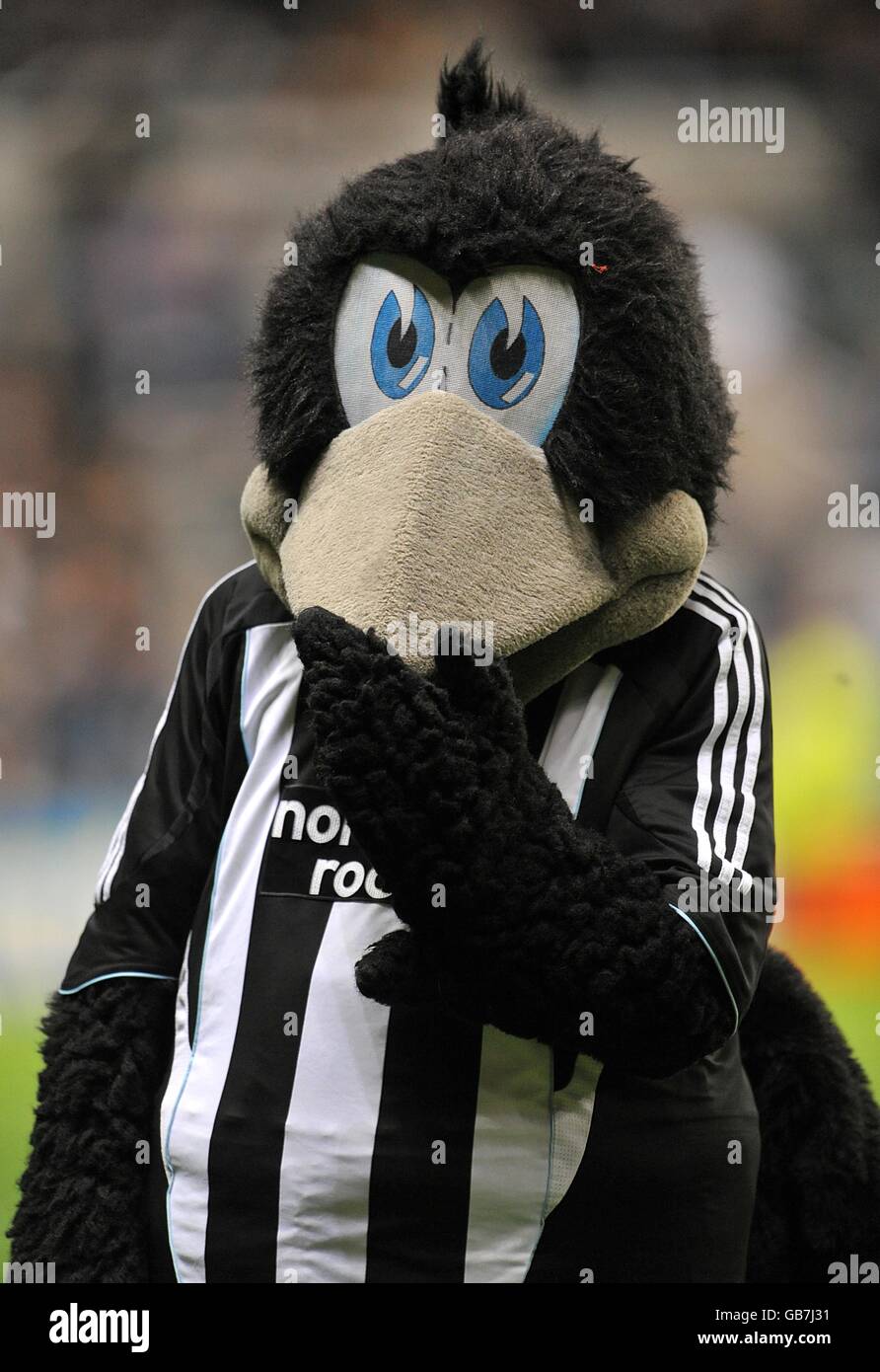 Newcastle united mascot fotografías e imágenes de alta resolución Alamy