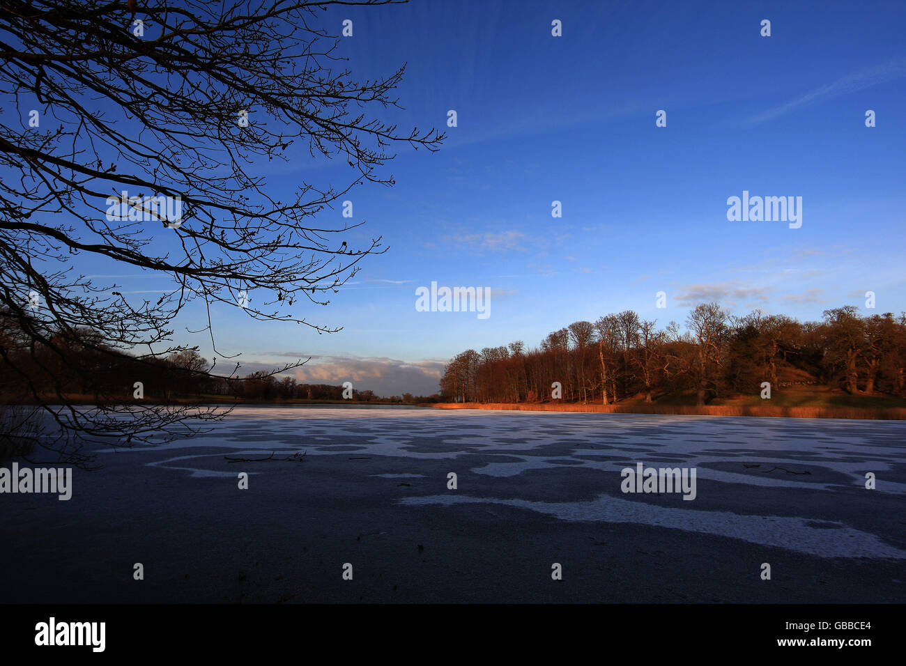 Clima frio y frio fotografías e imágenes de alta resolución - Alamy