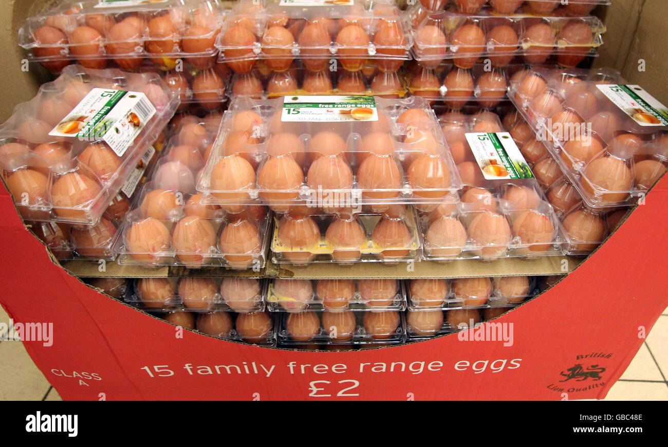 Una visión general de los huevos en venta en Sainsbury's que se convertirá en el primero de los cuatro grandes supermercados para dejar de vender huevos de gallinas jaula de batería, se ha divulgado hoy. Foto de stock
