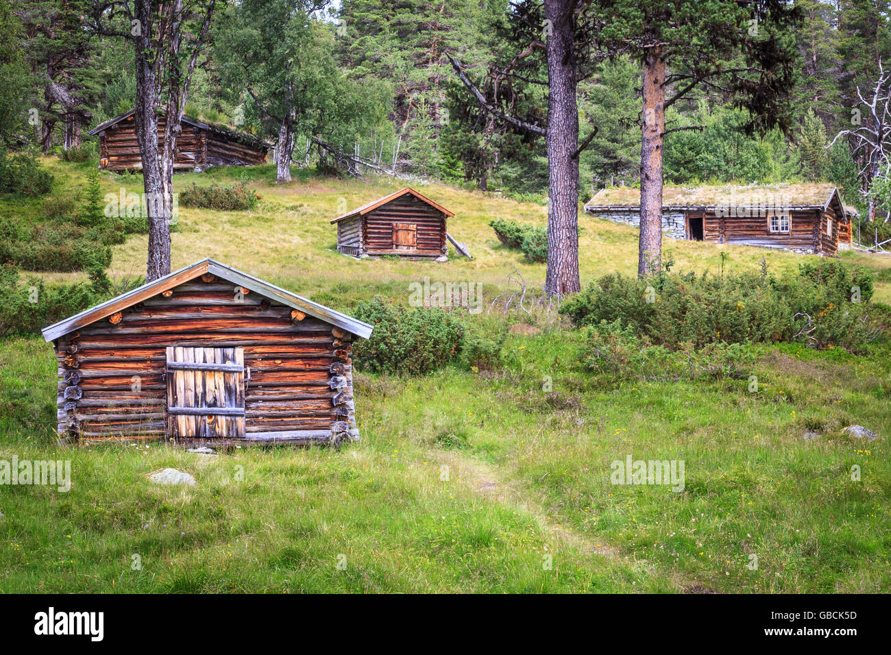 Un grupo de cabañas de madera, madera shielings, en una granja cerca de verano Femunden, Hedmark, Noruega. Foto de stock