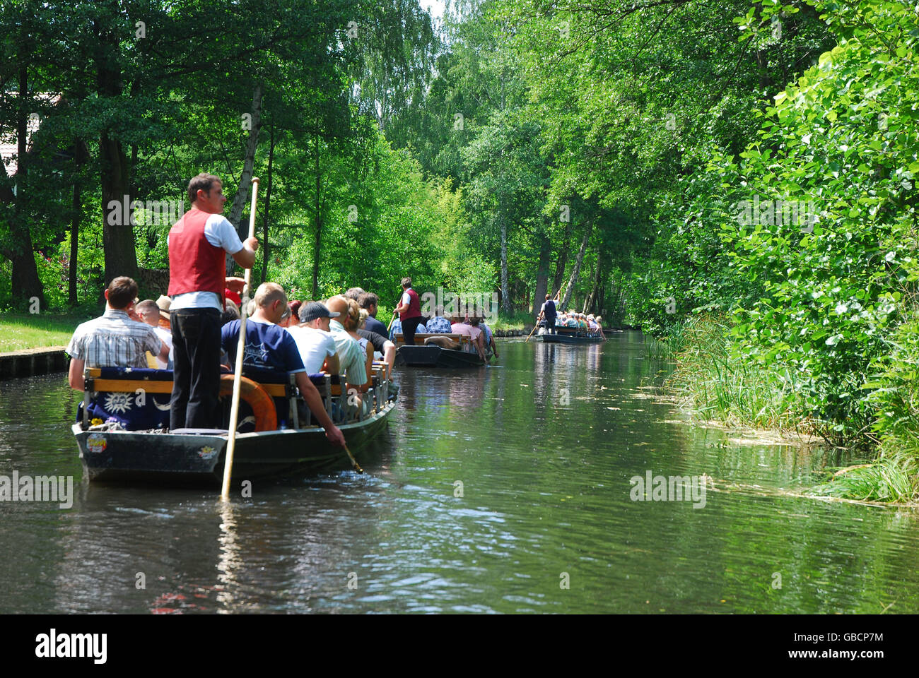 Los turistas en bote, Lubbenau, preservar la biosfera Spreewald, Brandenburgo, Alemania / Lübbenau Foto de stock