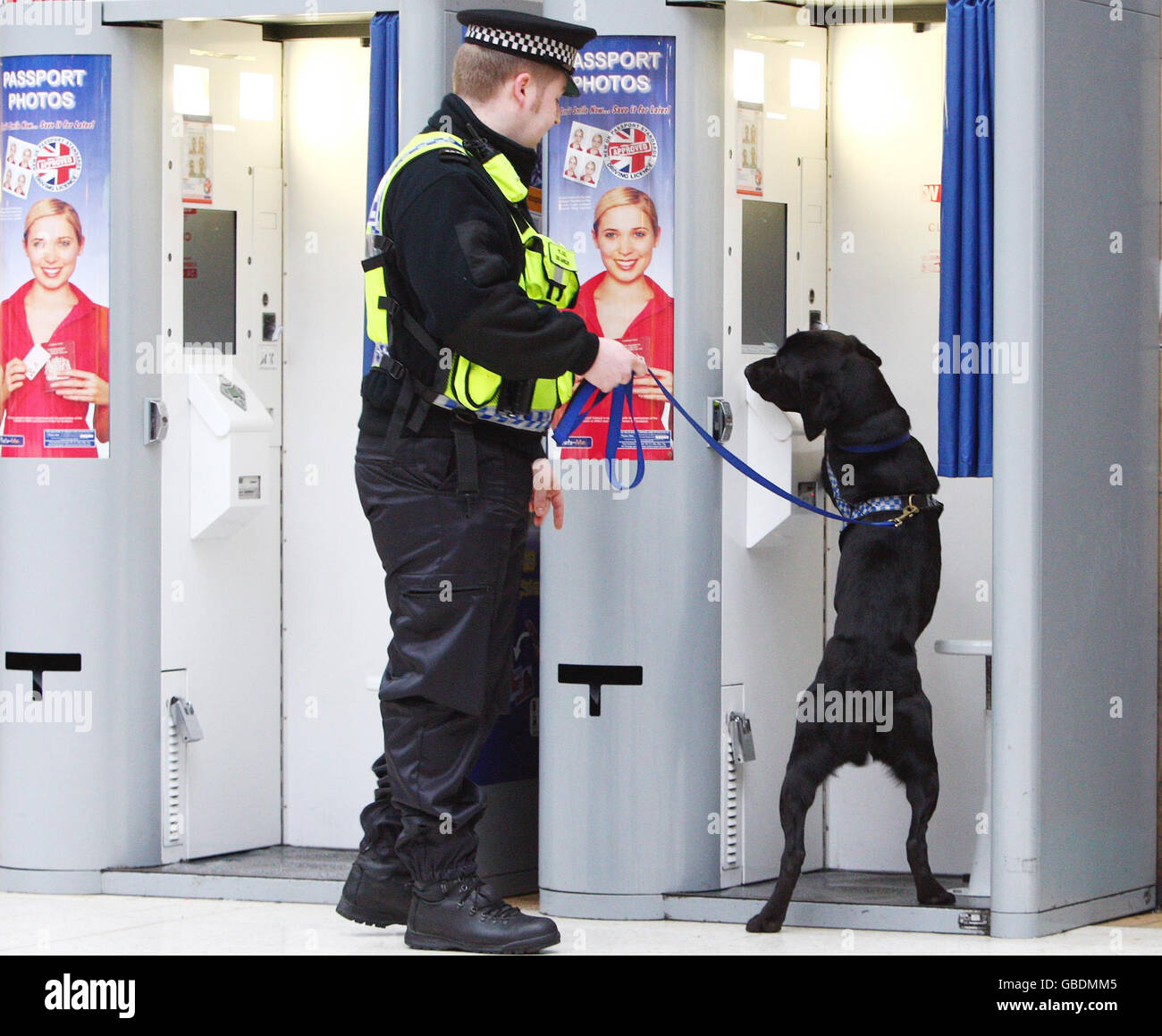 Bruce, un perro de rescate de Dogs Trust, Glasgow, de dos años de edad, está destinado a trabajar por su perro de policía, el Manipulador Constable Raymond Martin, en la Estación Central de Glasgow después de que se calificó como perro de búsqueda de explosivos para la Policía de Transporte Británica. Foto de stock
