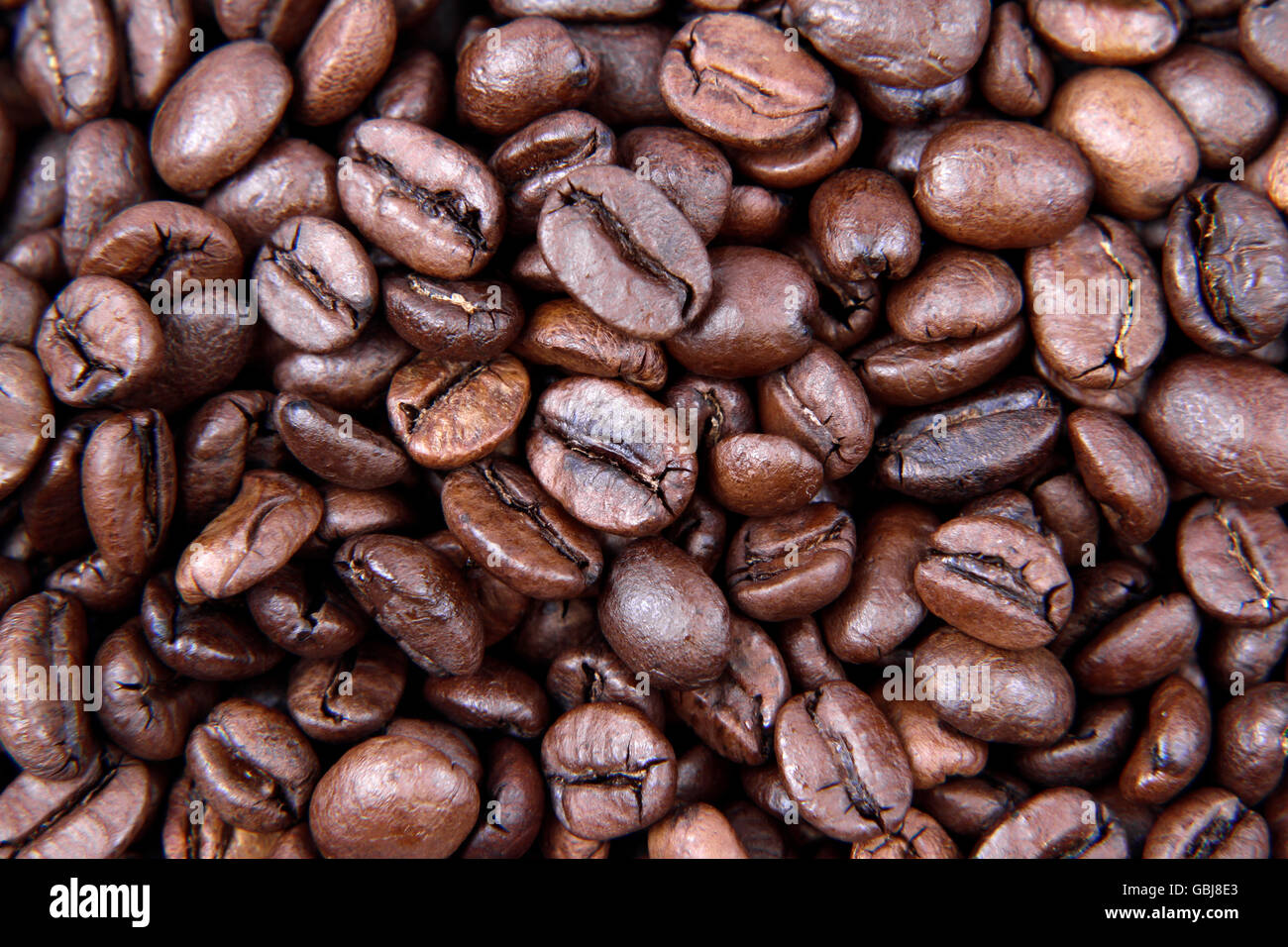 Primer plano de café tostado en grano Foto de stock