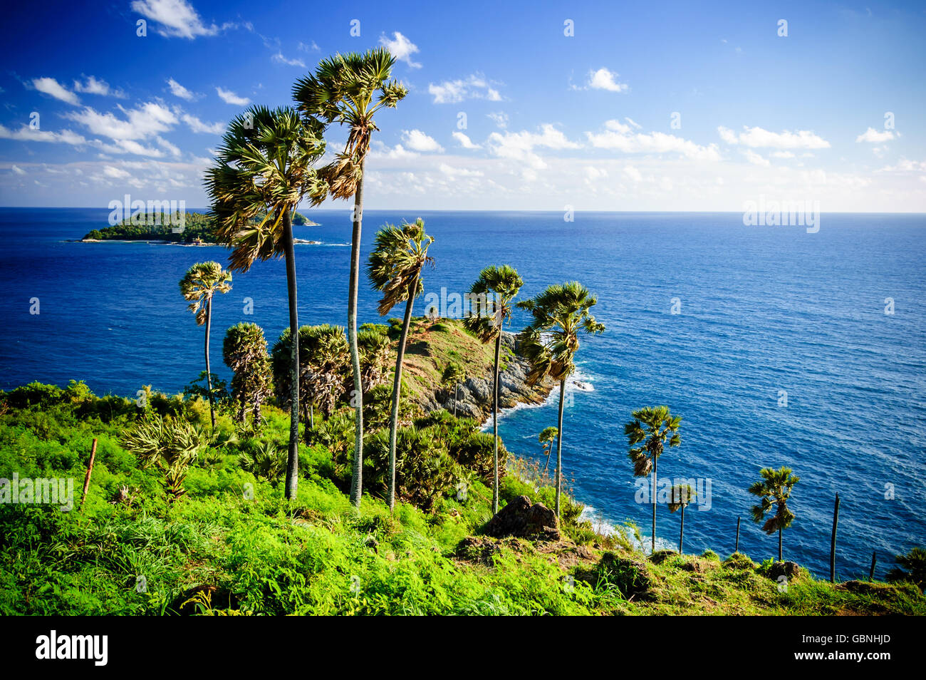 Vistas al mar y palmeras en promthep cape en Phuket, en el sur de Tailandia Foto de stock