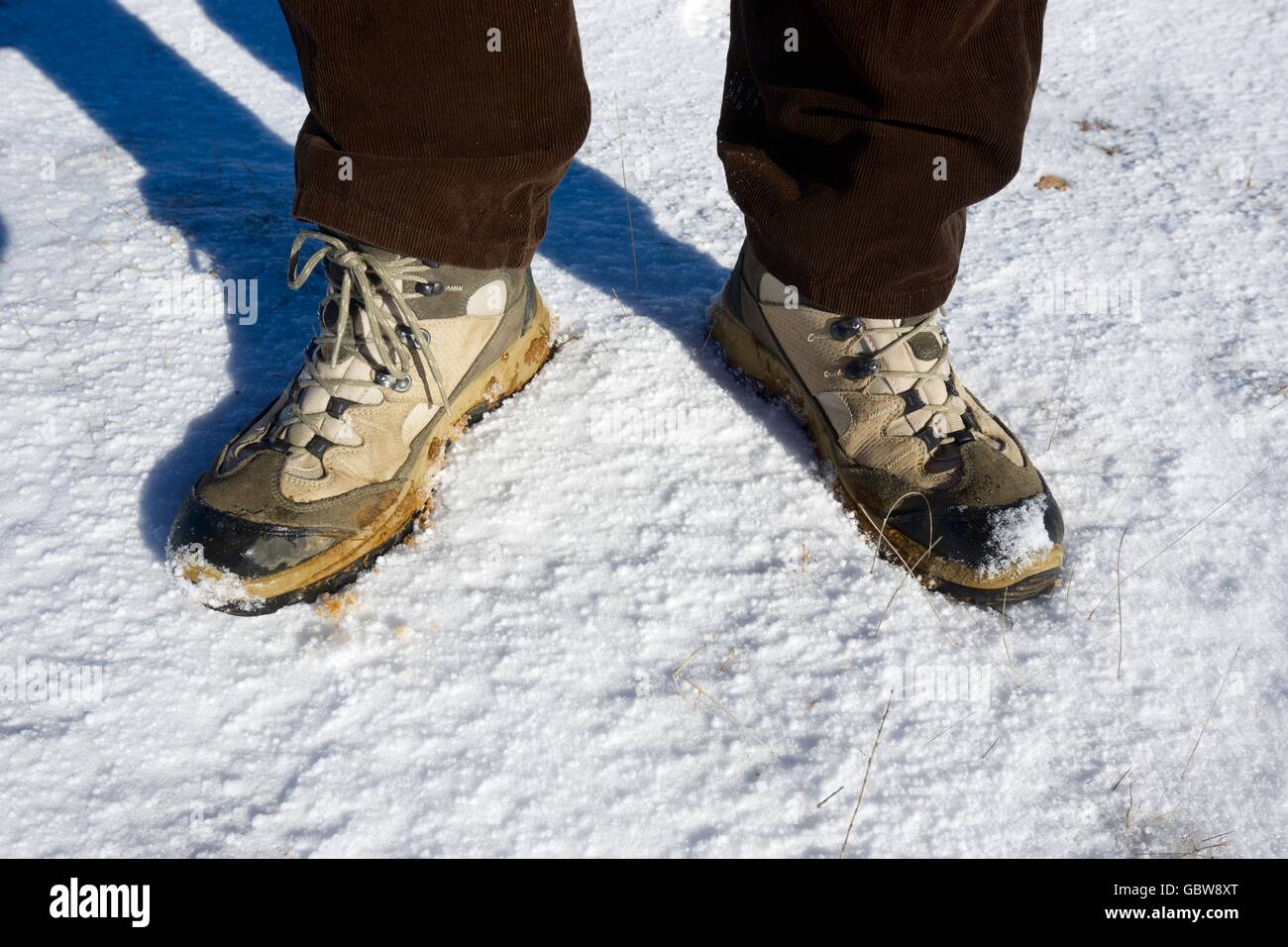 Primer Plano De Botas De Montaña Con Crampones Y Polainas De Nieve Con  Piceas Nevadas En El Fondo. Alto Montañero Golpeando Botas En Nieve Dura  Ascendiendo ARRIBA En La Cumbre. Fotos, retratos