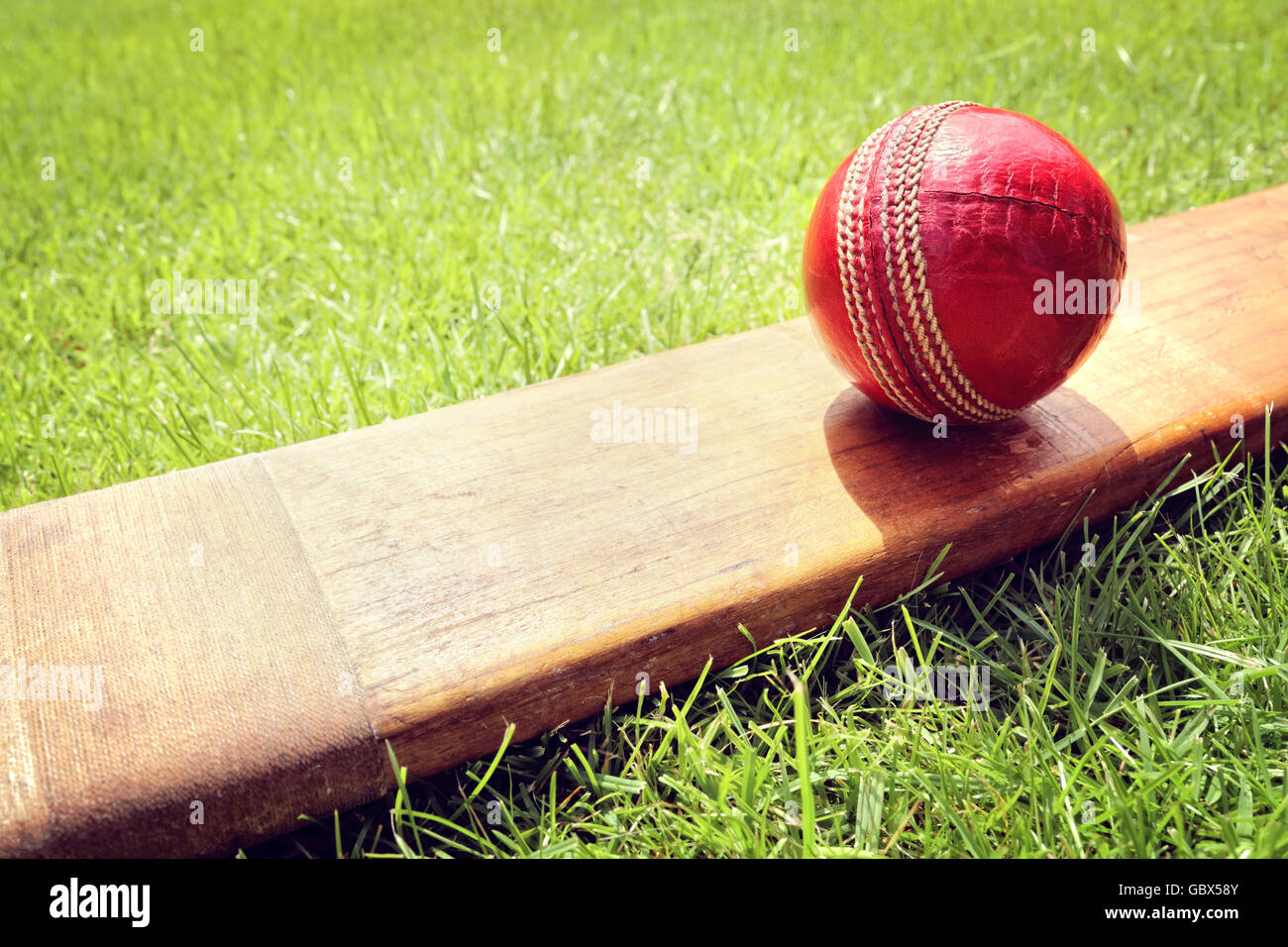 Bola de críquet descansa sobre un bate de críquet en la pasto verde de cricket pitch Foto de stock