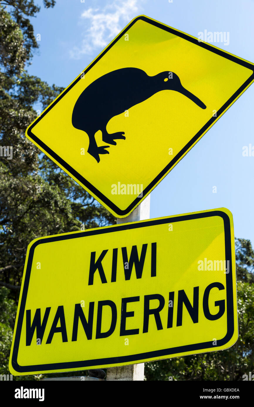 Señal de carretera de advertencia de kiwi, Whakatane, Isla del Norte, Nueva Zelanda Foto de stock
