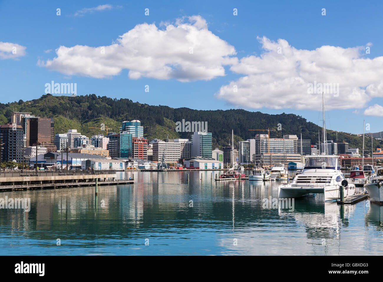 Horizonte de Wellington a través del agua, Nueva Zelanda Foto de stock