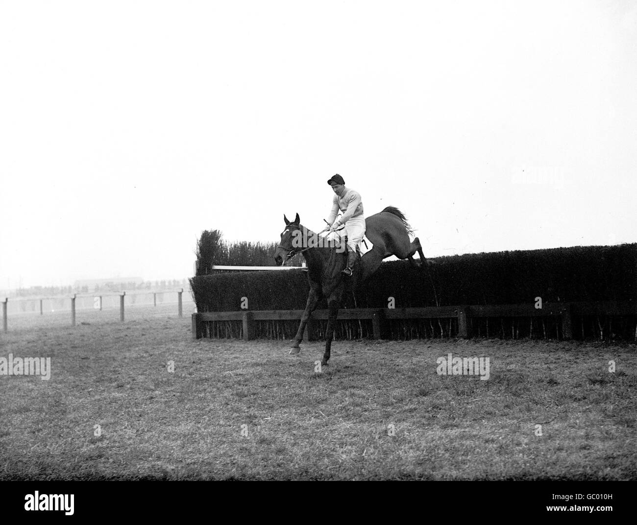 Carreras de Caballos - El Ogbourne discapacitados Chase - Newbury Foto de stock