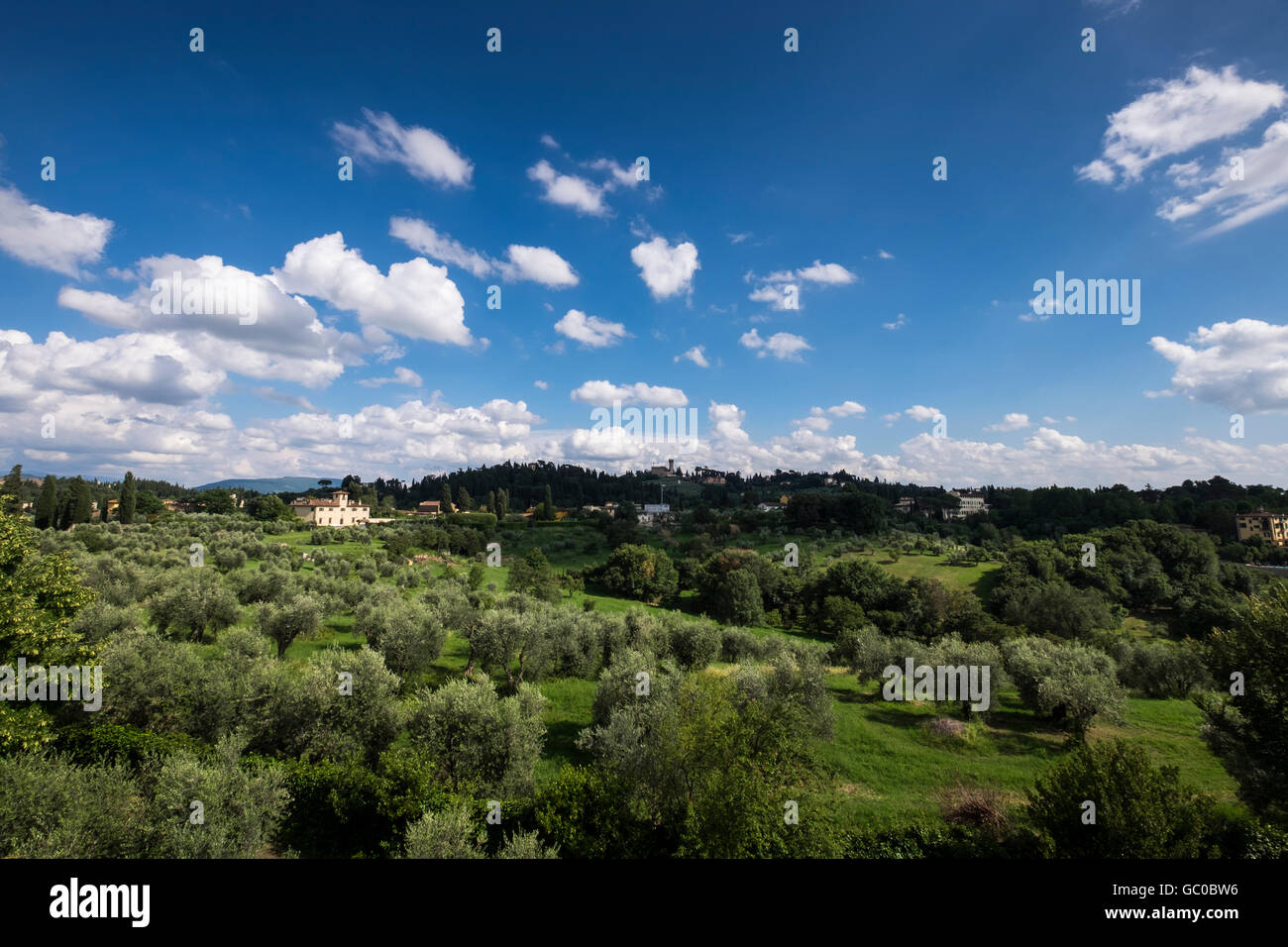Vistas de olivares desde el Giardino di Boboli en las afueras de Florencia, Toscana, Italia Foto de stock