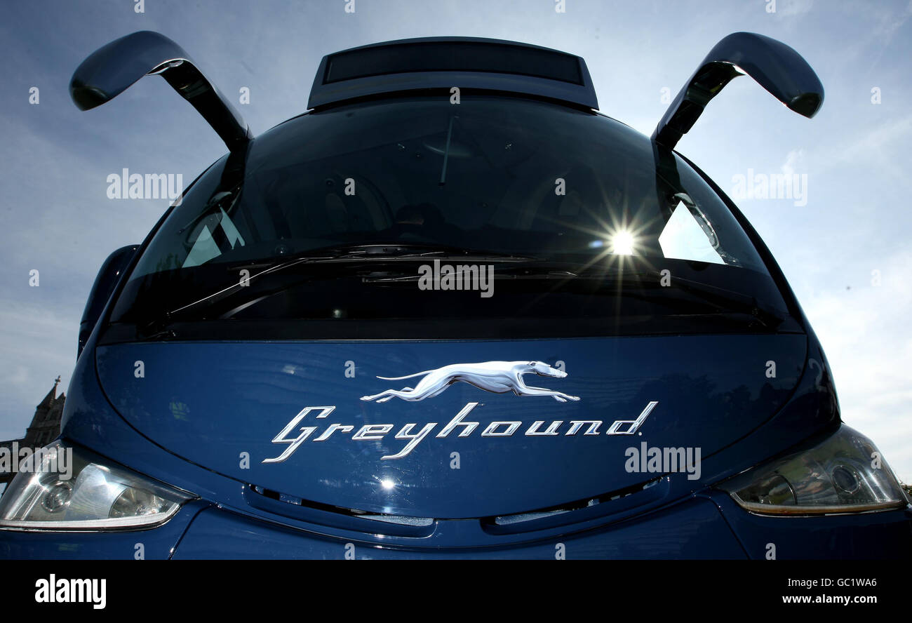 First Group lanza un servicio de autobuses Greyhound en el Reino Unido. Un autobús Greyhound en el lanzamiento del nuevo servicio Greyhound UK de First Group en Potters Field Park, Londres. Foto de stock