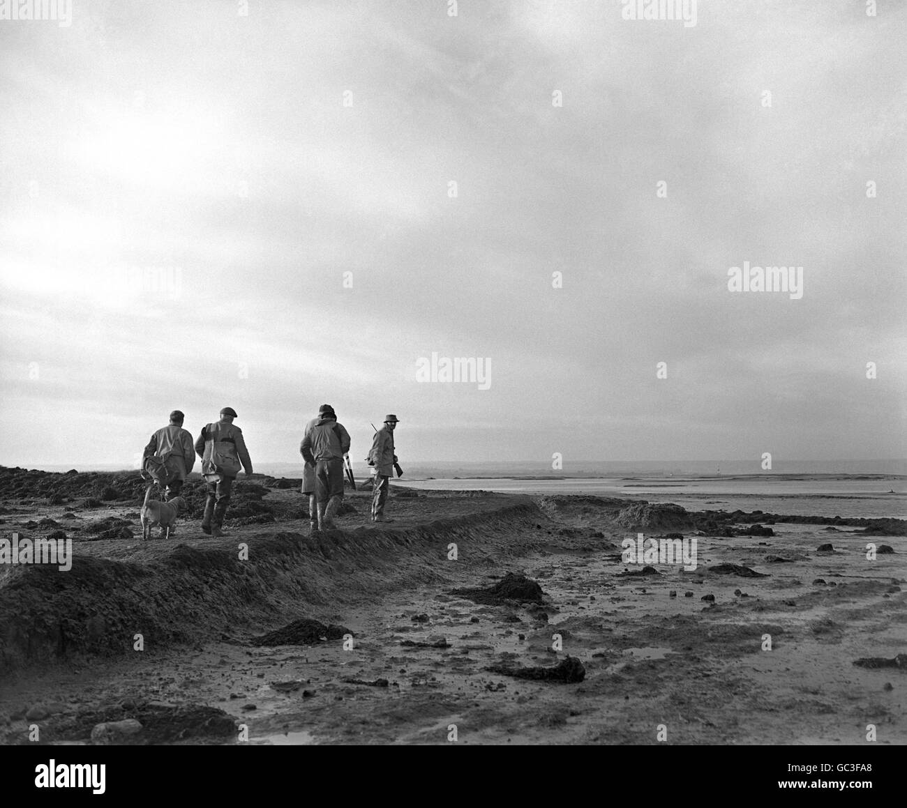 Los cazadores de patos regresan a los barcos antes de que llegue la marea después de una reunión de tiro de pato en la Isla de grano en el estuario del Támesis. Foto de stock