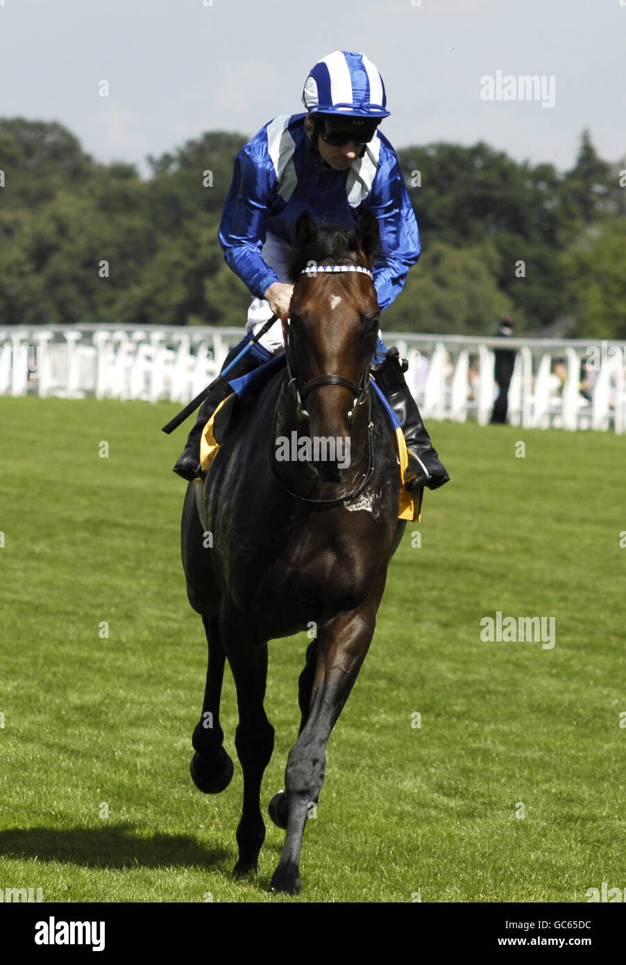 Alwaary montado por Richard Hill va a publicar para el El rey George VI y la reina Elizabeth Stakes en el hipódromo de Ascot Foto de stock