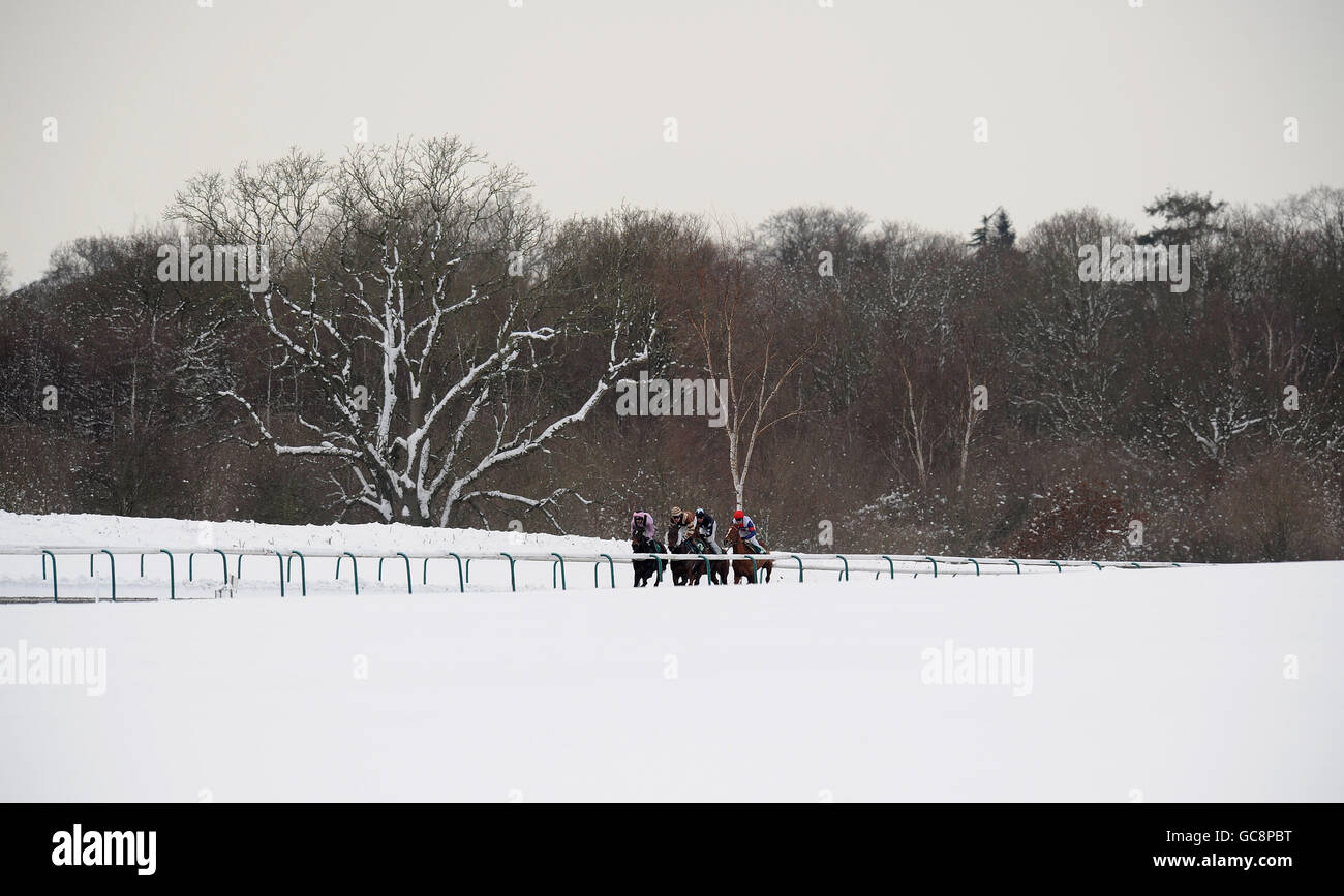 Carreras de caballos - Hipódromo de Lingfield. Corredores y Riders en la Liga Premier de Fútbol Bet - Betdaq Handicap hacer su camino alrededor del campo Foto de stock