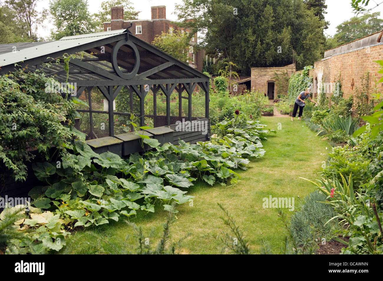 Anuarios indómita y plantas perennes cultivadas en los jardines de este país Richmond Estate Foto de stock