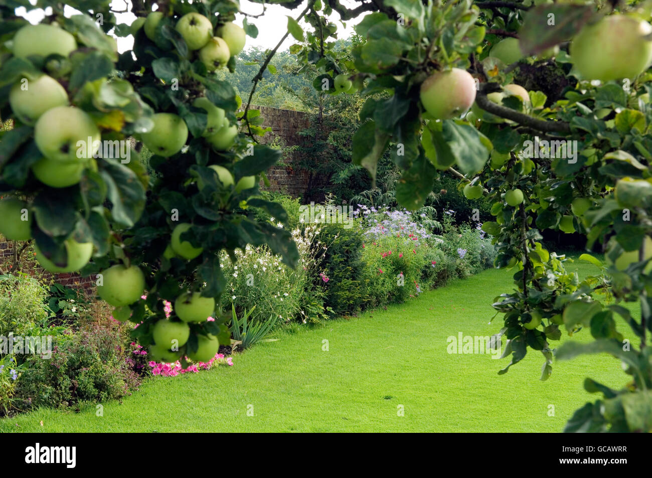 Anuarios indómita y plantas perennes cultivadas en los jardines de este país Richmond Estate Foto de stock
