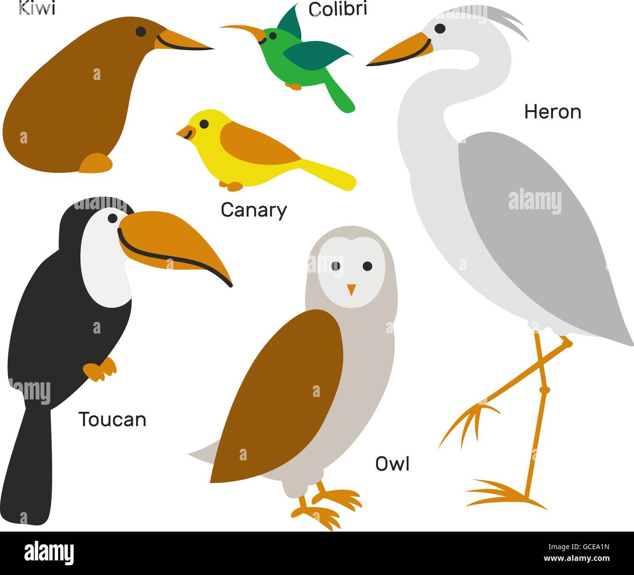 color Rápido apelación Cute dibujos animados conjunto de aves aisladas sobre fondo blanco Imagen  Vector de stock - Alamy