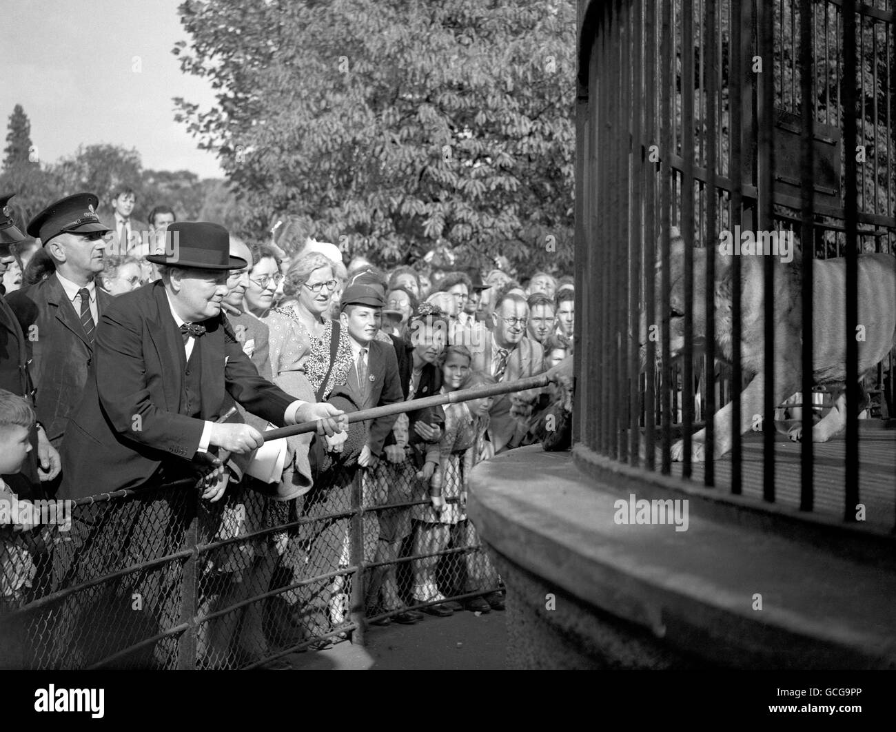 Winston Churchill visitando su león Rota en el Zoo de Londres. Rota fue mantenido como un cachorro en un jardín trasero en Pinner, pero cuando creció, fue presentado al Sr. Churchill y alojado en Regent's Park. Foto de stock
