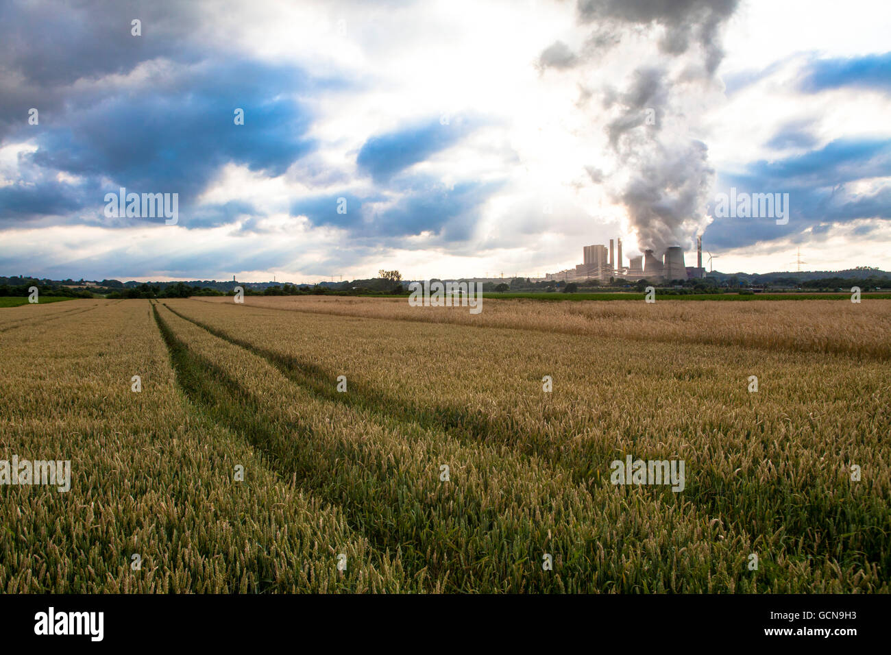 Europa, en Alemania, en Renania del Norte-Westfalia, la central eléctrica de lignito Weisweiler en Eschweiler-Weisweiler, grainfield. Foto de stock