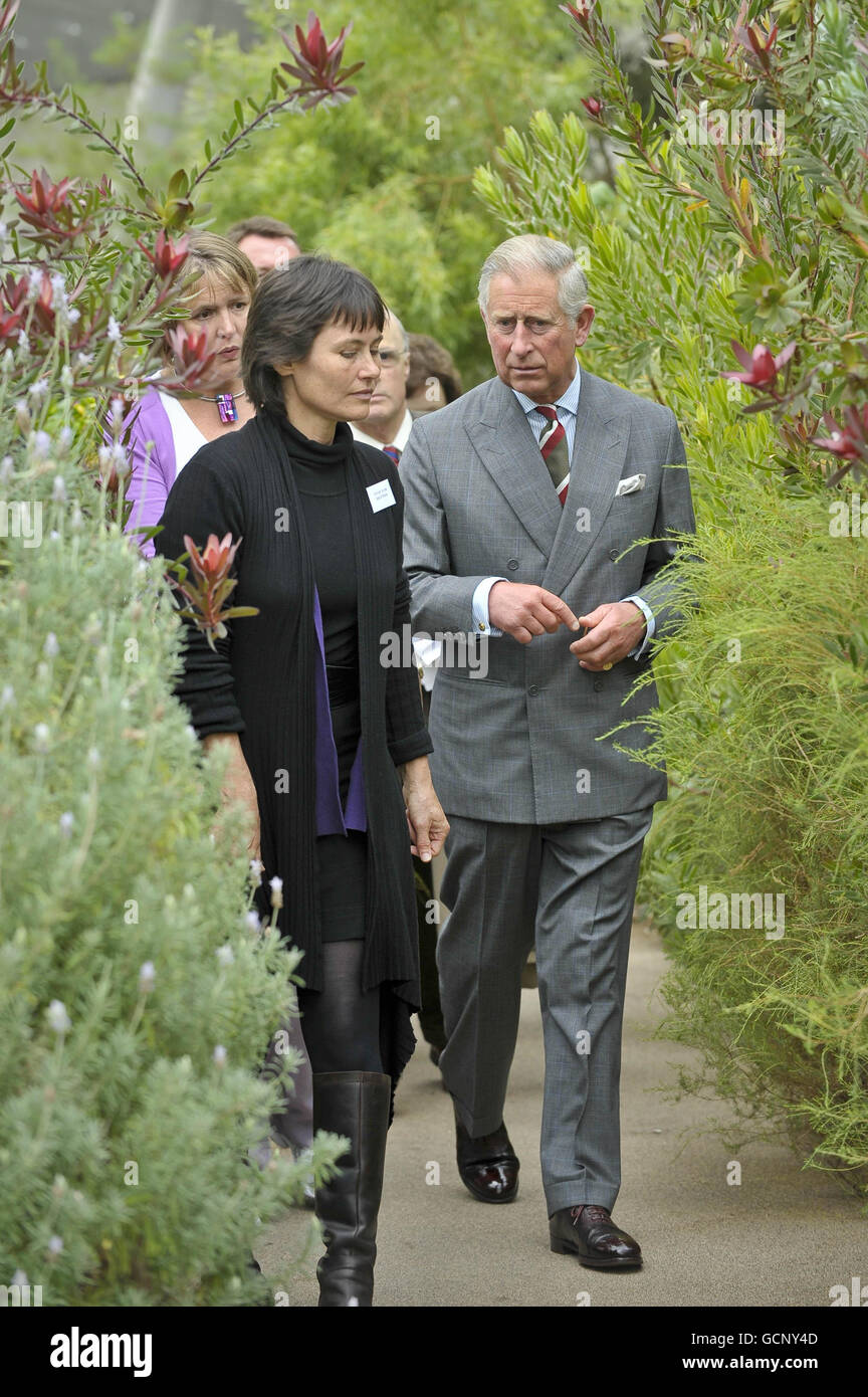 El Príncipe de Gales camina entre el verdor en la Gran Glasshouse en los Jardines Botánicos nacionales de Gales en Carmarthen mientras continúa su gira por Gran Bretaña para promover su INICIATIVA de vida sostenible START. Foto de stock