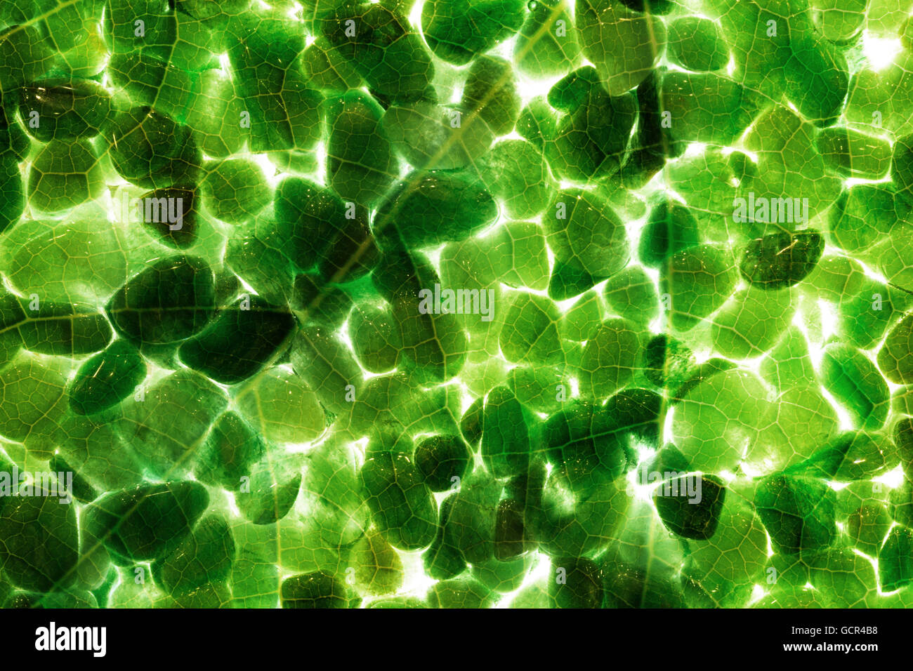 Piedras preciosas con formato completo reflejo de la estructura de las venas de una hoja, con una luz de fondo, iluminándolos con countours. Foto de stock