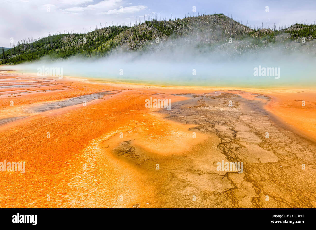 Coloridos patrones en la algea y capas de bacterias de la Grand Prismatic Spring, el Parque Nacional de Yellowstone. Foto de stock