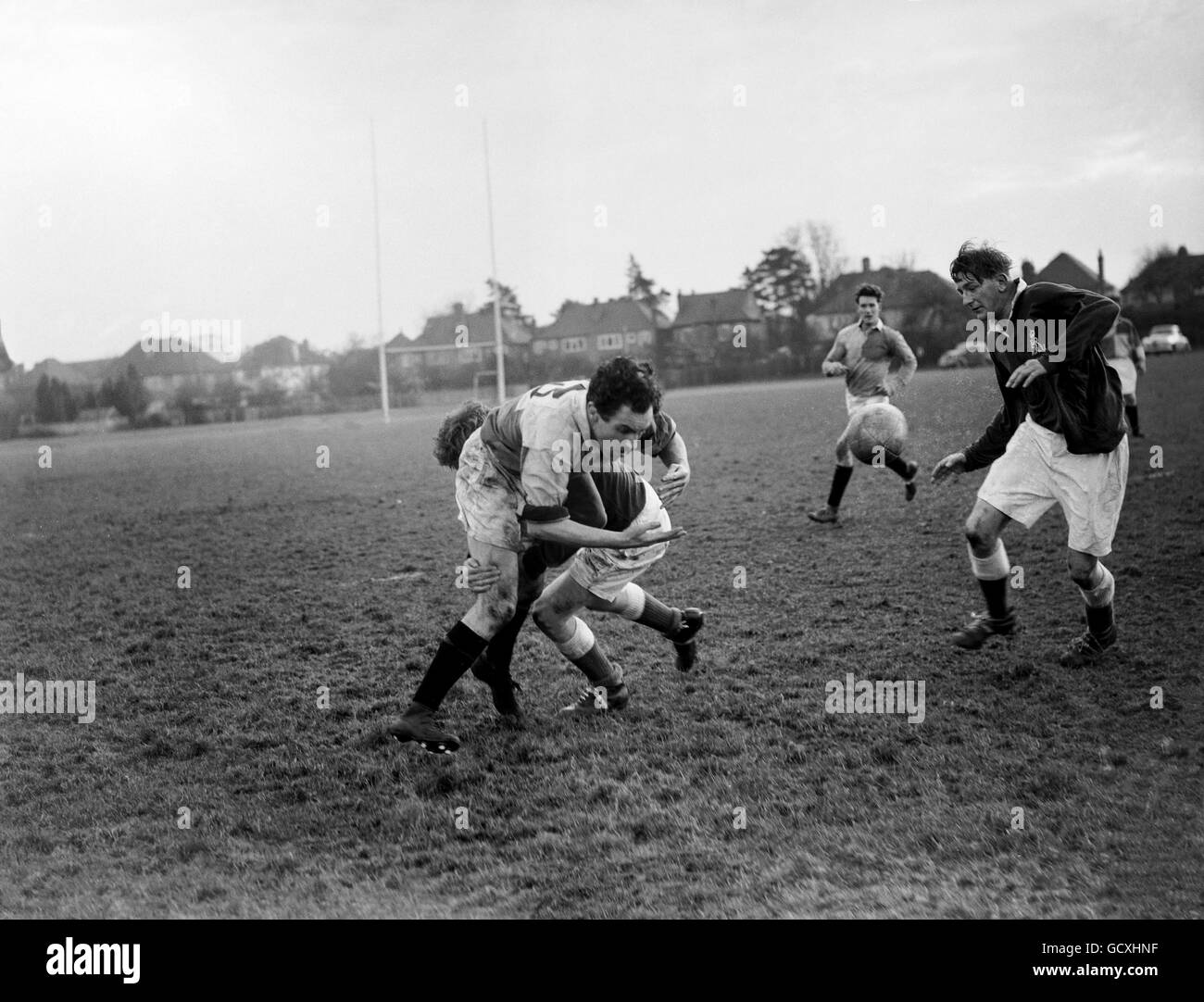 Rugby - Arlequines Foto de stock