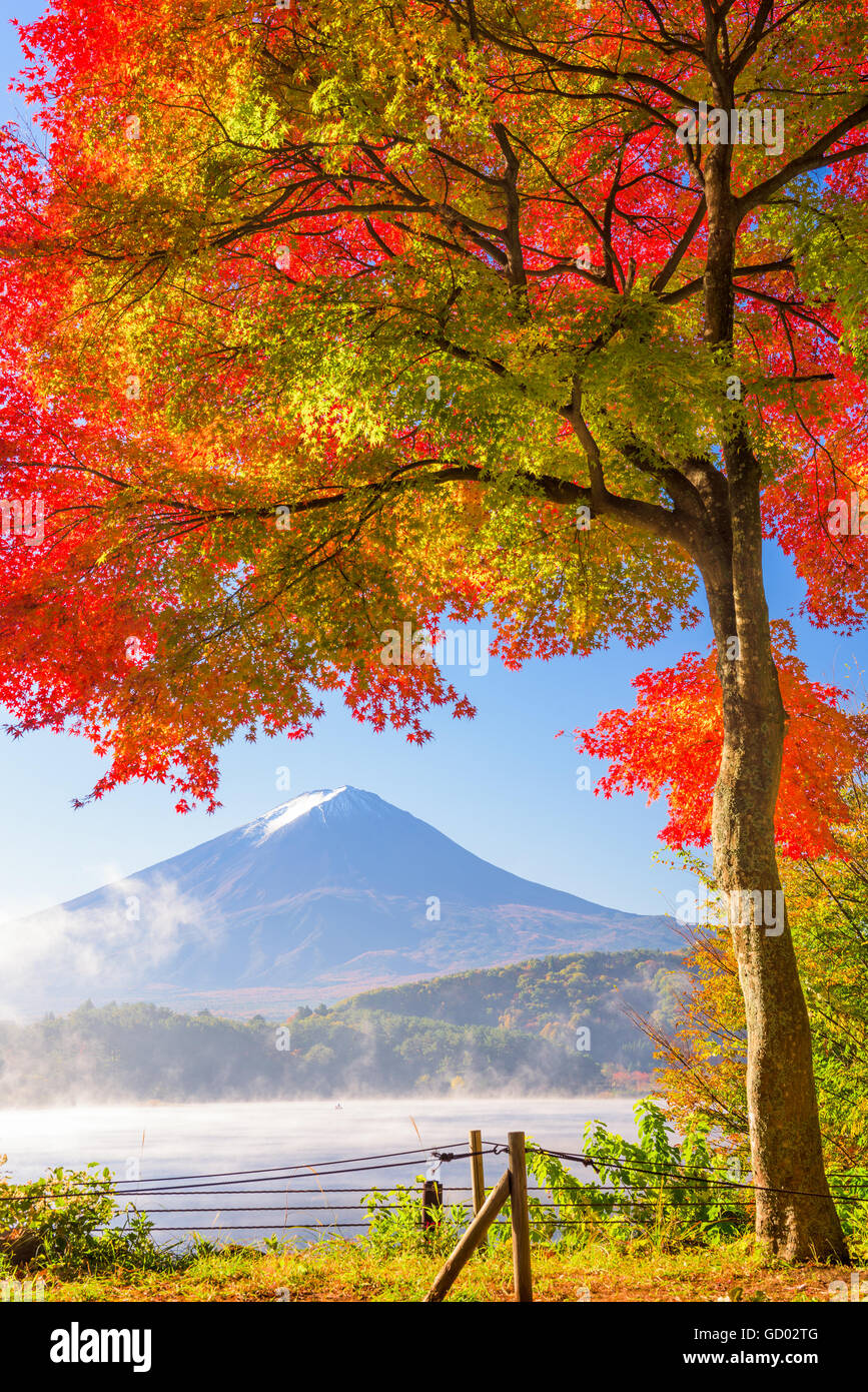 Mt. Fuji, Japón desde el Lago Kawaguchi en la temporada de otoño. Foto de stock