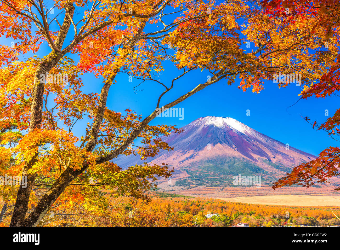 Mt. Fuji, Japón desde el lago Yamanaka en otoño. Foto de stock