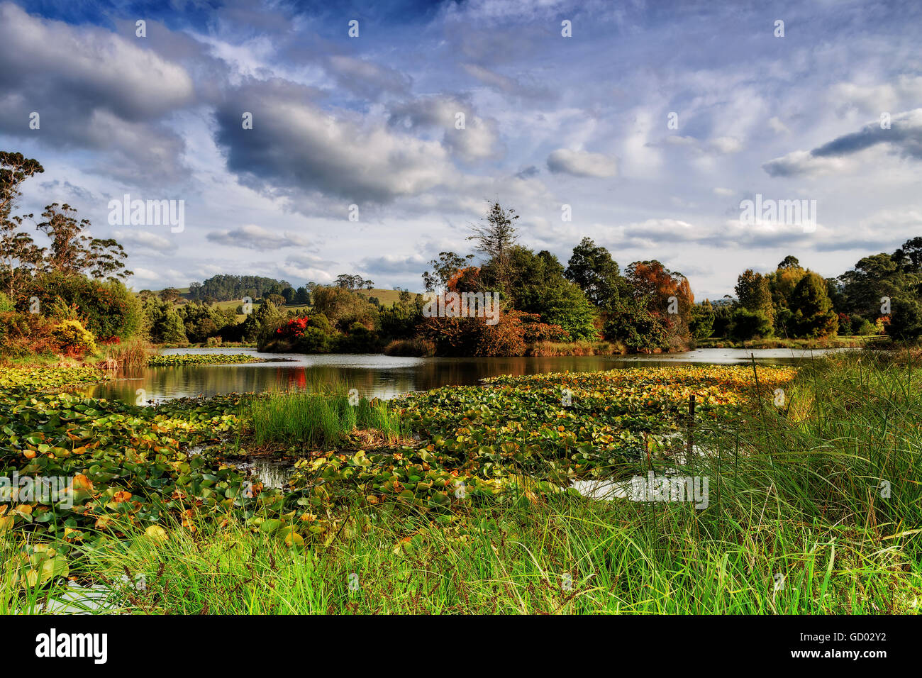 Colores de otoño en el Arboretum Foto de stock