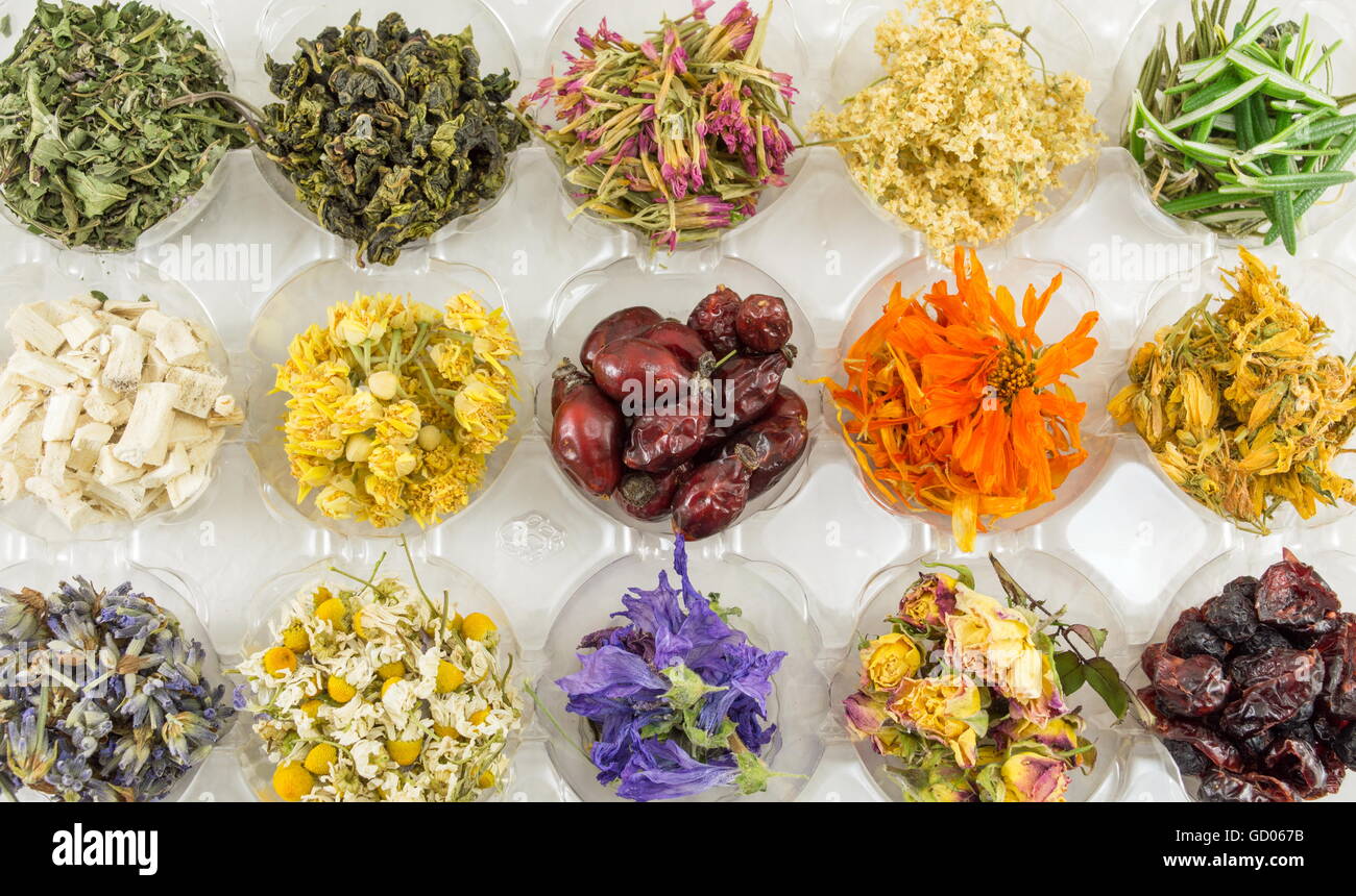 Diversas plantas secas para hacer un té perfecto Foto de stock