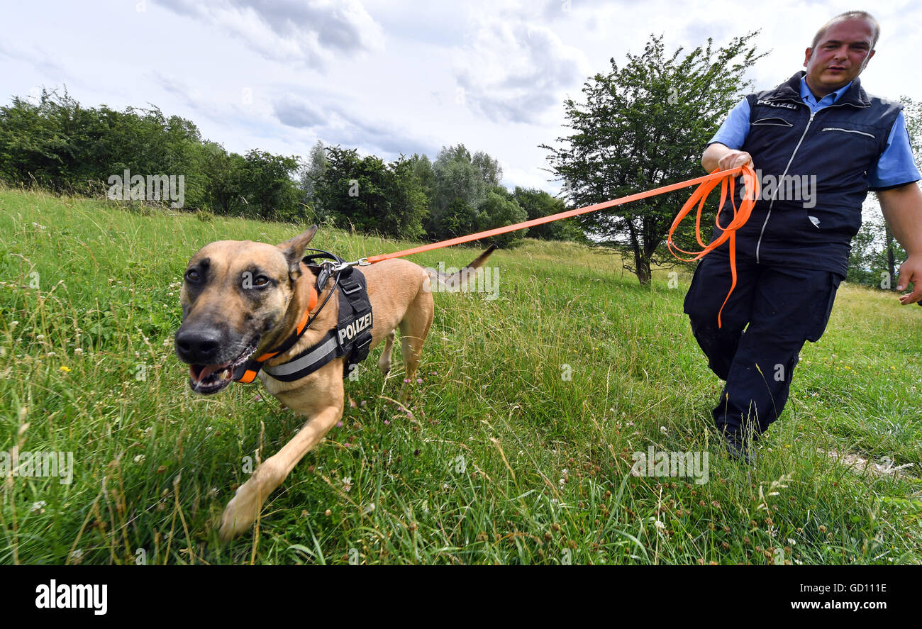La policía warden y dog handler Dominik Herold camina con el 5-año-vieja  perra Bella a través de una pradera en Gotha, Alemania, el 11 de julio de  2016. El perro lleva un