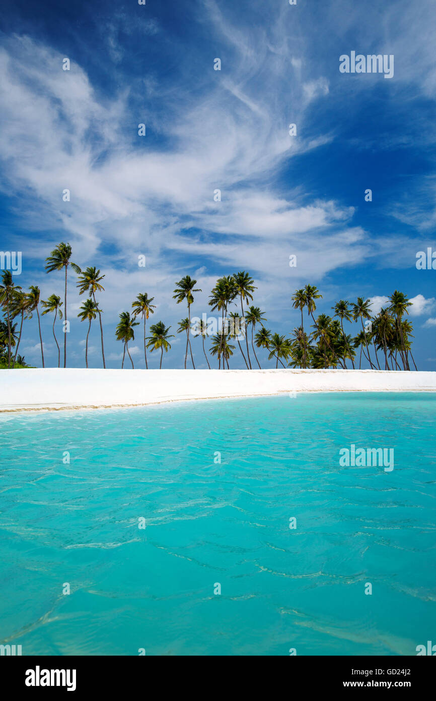 Palmeras y playa tropical, Maldivas, Océano Índico, Asia Foto de stock