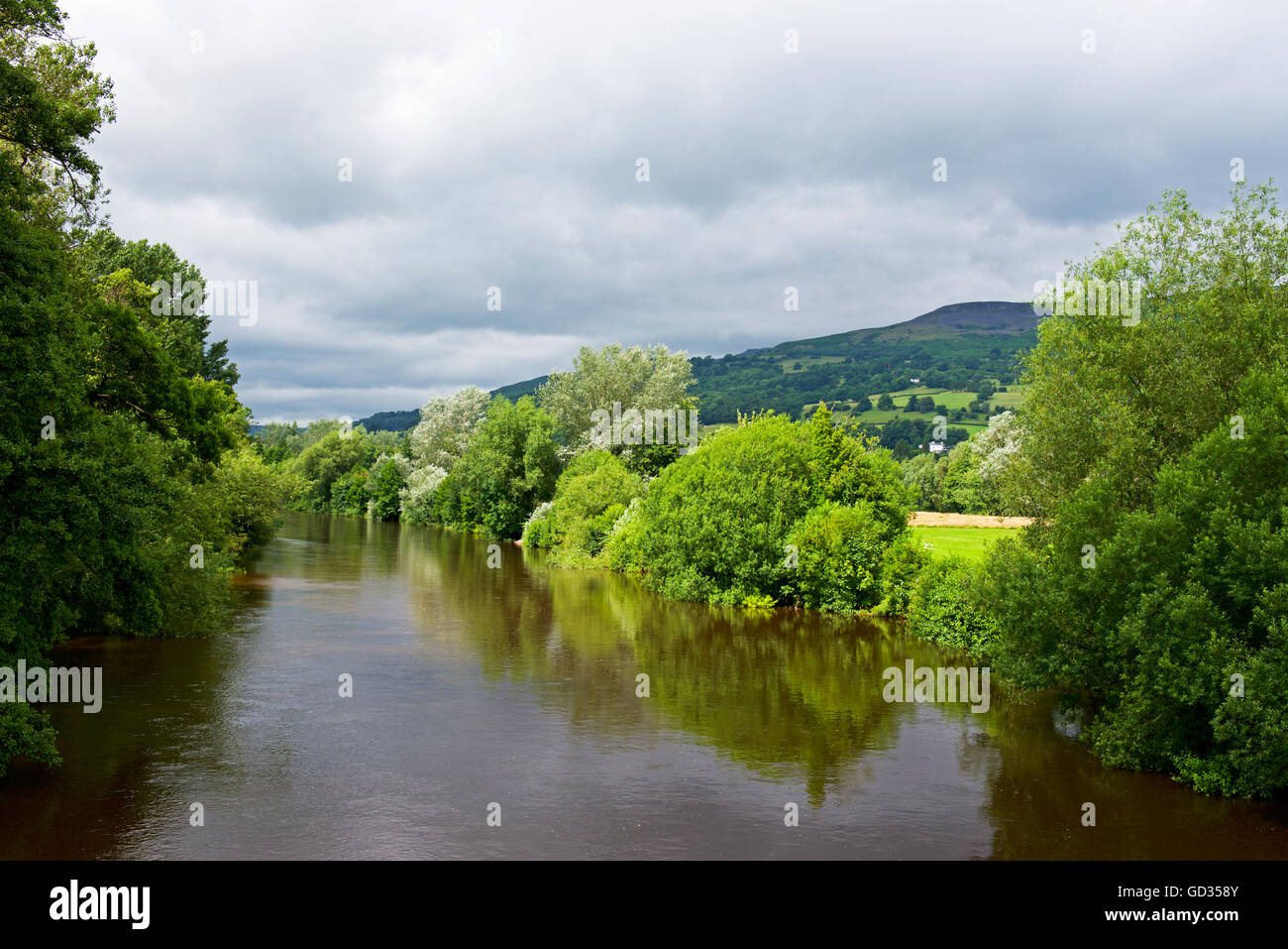El río Usk, en Crickhowell Powys, Gales, Reino Unido Foto de stock