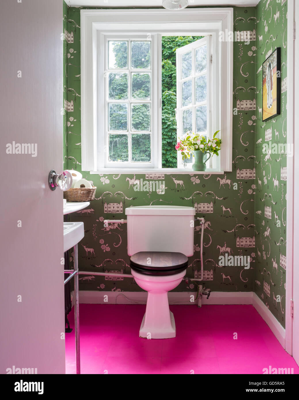 Piso de baldosas color rosa vibrante en aseo con wc verde tapiz Foto de stock