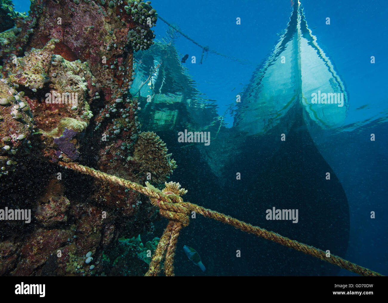 Imagen Submarina de barco atado al embarcadero junto con una vieja cuerda y arrecifes de coral, las Maldivas, océano Índico Foto de stock