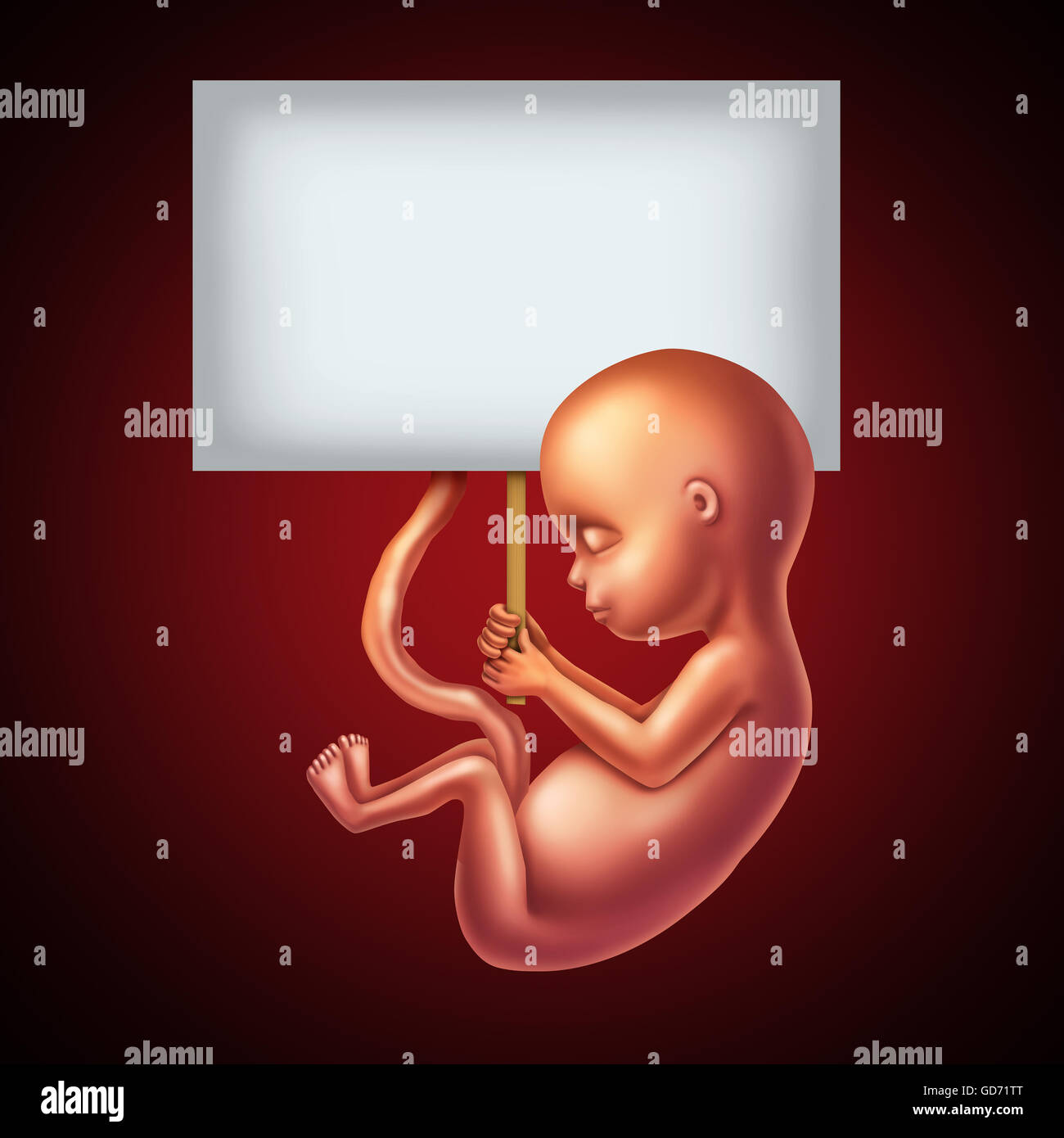 Bebé nonato o mensaje de cribado prenatal y obstetricia y ginecología símbolo de comunicación como un feto sosteniendo un cartel en blanco como Foto de stock