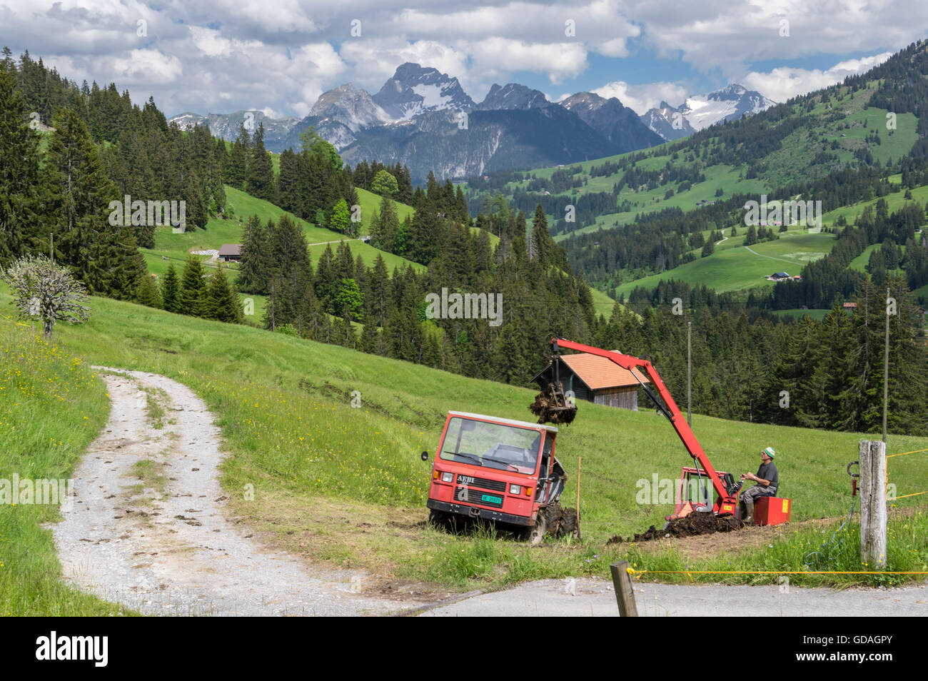 El agricultor trabaja en una pradera en los Alpes Suizos, cargando el estiércol en su pequeño Aebi TP45 multipropósito de Transporter. Saanenmöser, Suiza. Foto de stock