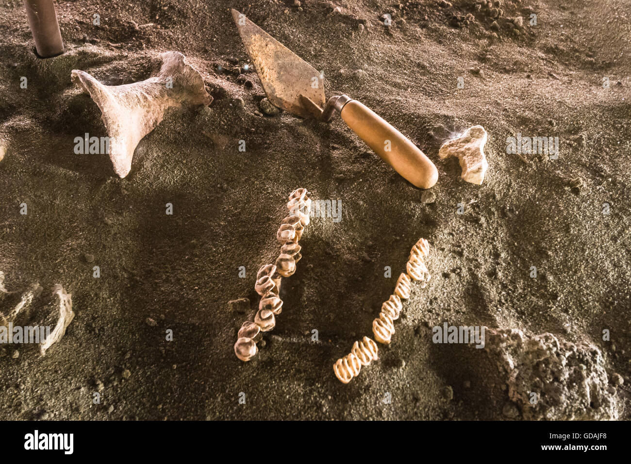 Modelo del sitio de excavación en el Museo del Patrimonio de Hong Kong, Arqueología Foto de stock