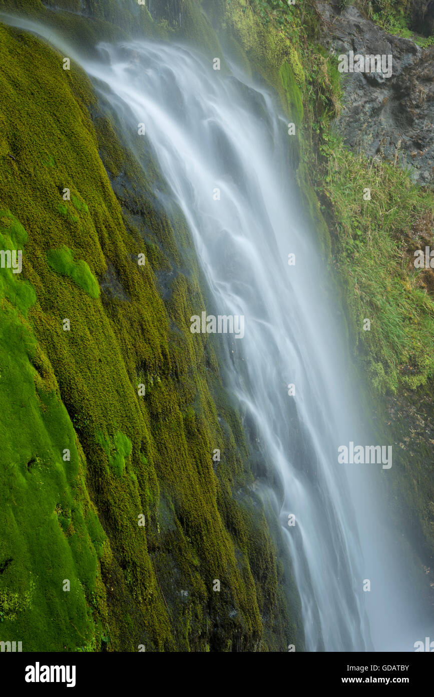América del Sur, Argentina, Patagonia,Rio Negro,Esquel Foto de stock