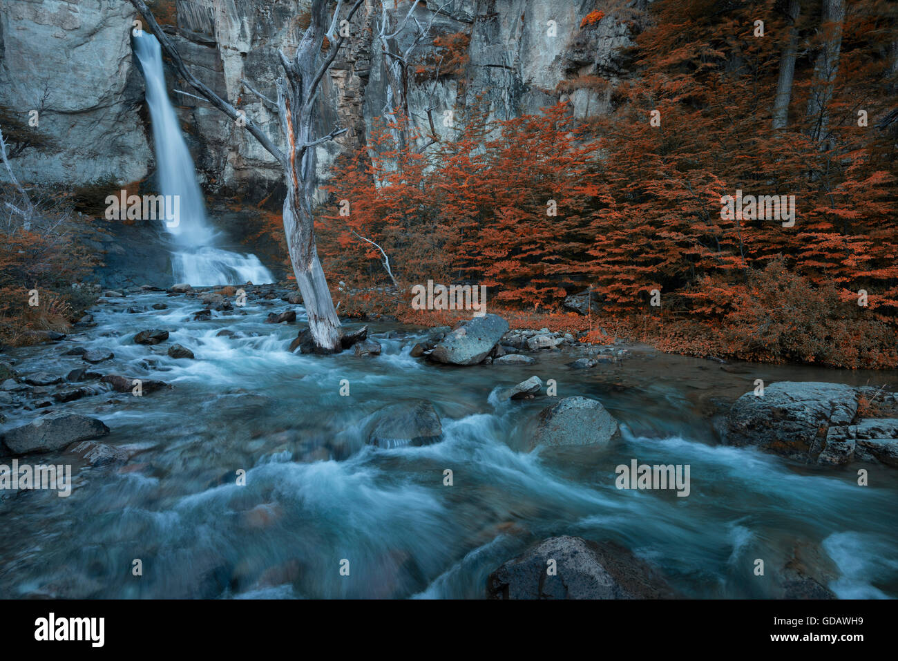América del Sur,Patagonia,Argentina,Santa Cruz,El Chalten,,Parque Nacional Los Glaciares, Patrimonio Mundial de la UNESCO ,,Fitz Roy,y Foto de stock