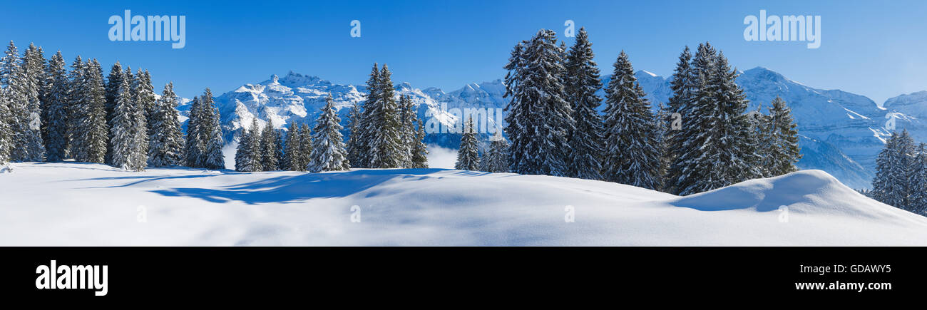 Freiberge,Kärpf,Glaris Alpes,Suiza Foto de stock