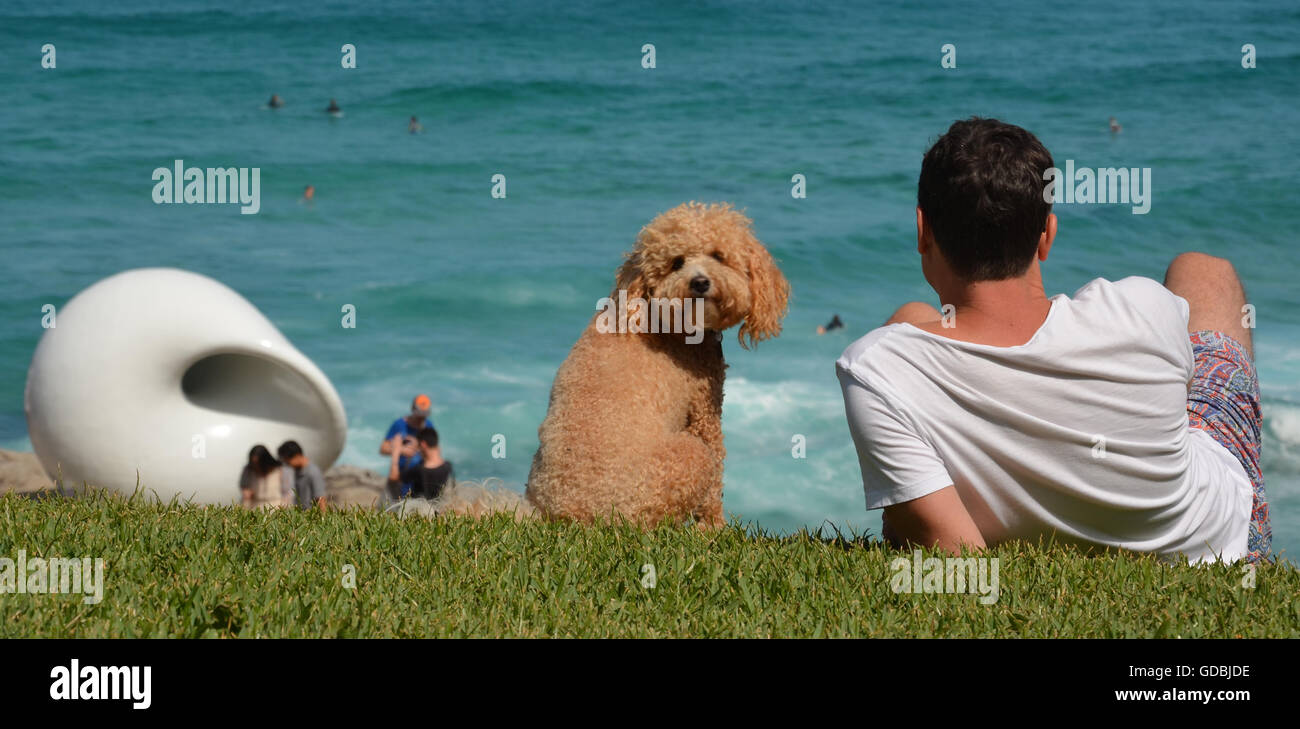 Sydney, Australia - Oct 25, 2015. Un hombre, un perro y una escultura. Escultura realizada por el mar a lo largo de la Bondi de Coogee caminata costera es Foto de stock