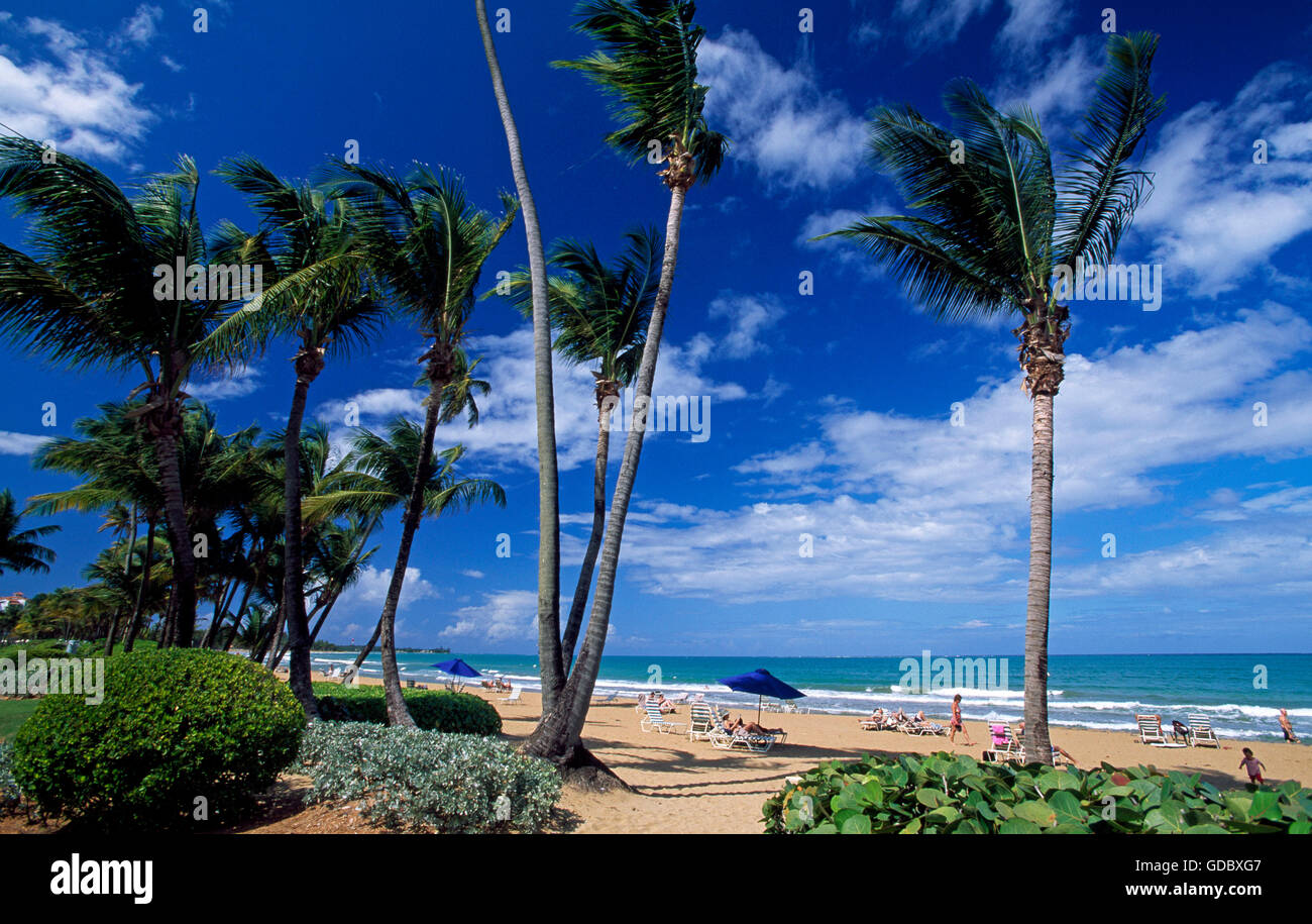 Rio Grande Puerto Rico Fotos E Imagenes De Stock Alamy Rio Grande Puerto Rico Fotos E Imagenes De Stock Alamy