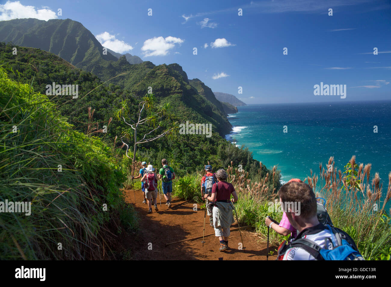 Kauai,bien Pali,Trail,costa,de Kauai, Hawaii, EEUU,Latina,sendero,caminatas, trekking, Foto de stock