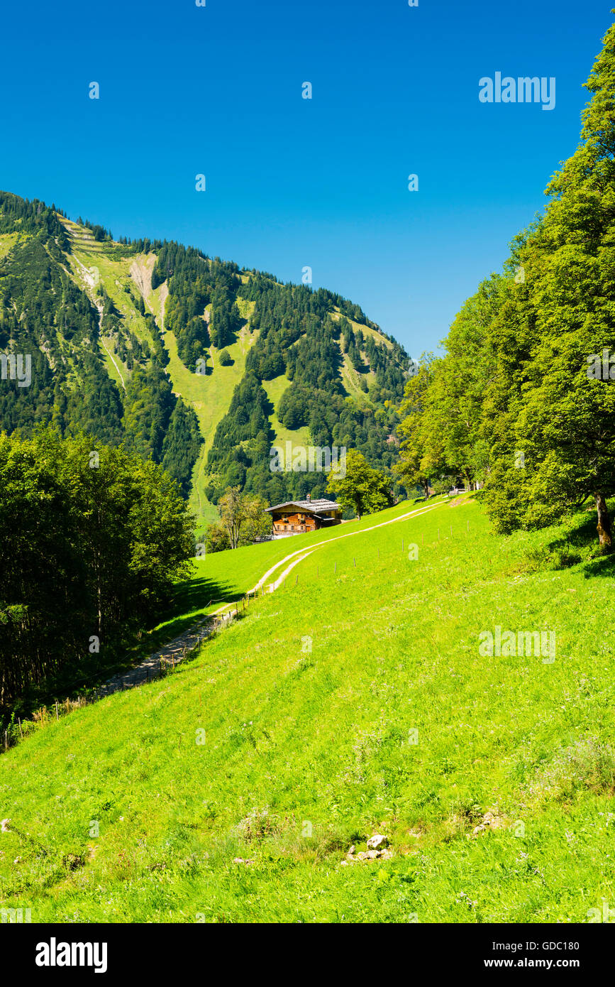 Allgäu,Allgäu Alpes,Alpes,paisaje alpino,hacienda,Baviera,cerca de Oberstdorf,alemania,Europa,Gerstruben,casa de madera,Obera Foto de stock