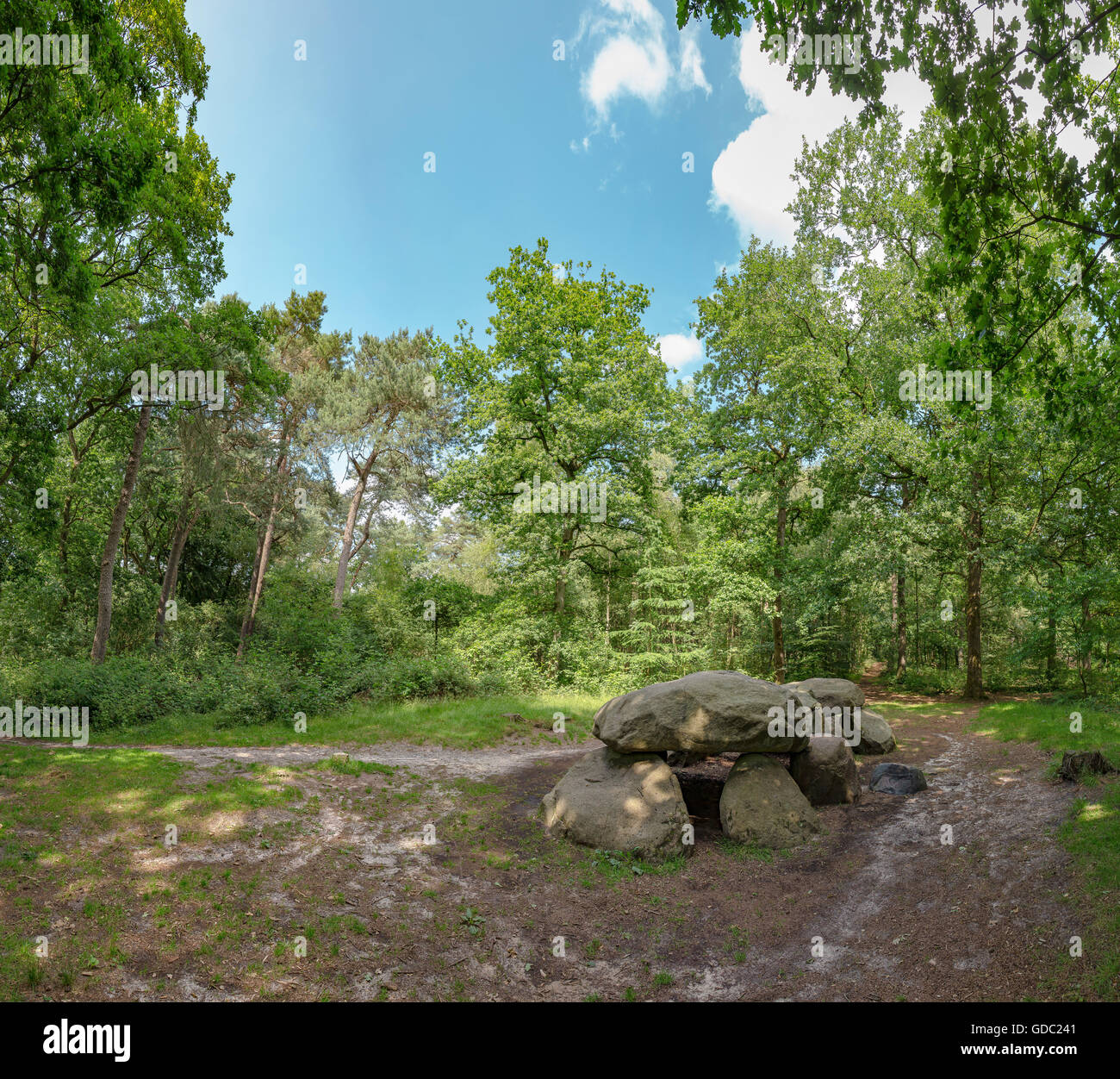 Annen,Drenthe,tumba megalítica en la silvicultura Schipborg Foto de stock