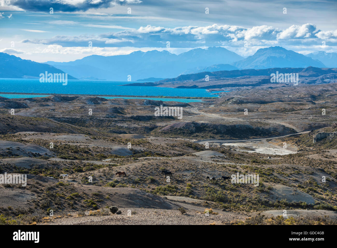 América del Sur,Argentina,Santa Cruz, Patagonia, Lago Posadas, Lago Pueyrredon Foto de stock