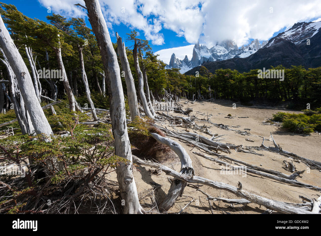 Cerro Fitz Roy,Argentina,Patagonia Foto de stock