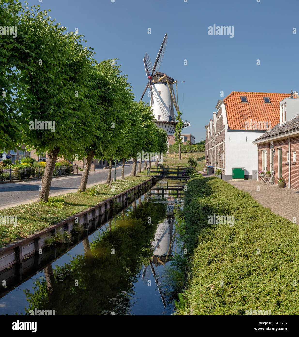 Willemstad,Noord-Brabant,Tower Mill llamado d'Orangemolen Foto de stock